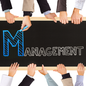 Novare:  Planning Like a Project Manager